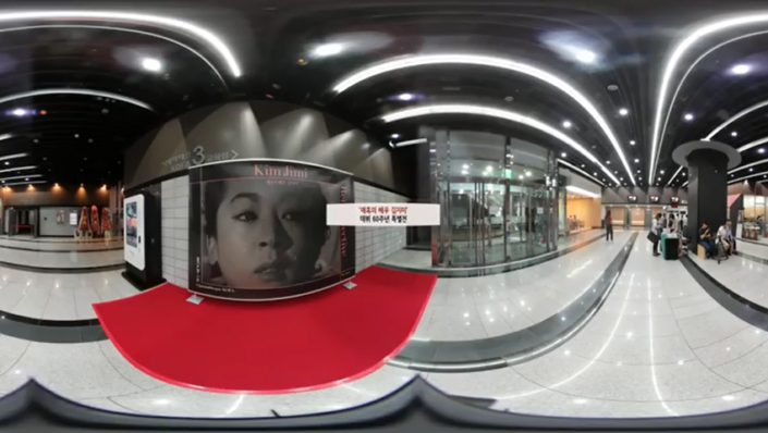 매혹스러운 배우 김지미 특별전 매혹스러운 배우 김지미 특별전